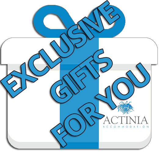EXCLUSIVE GIFT FOR YOU