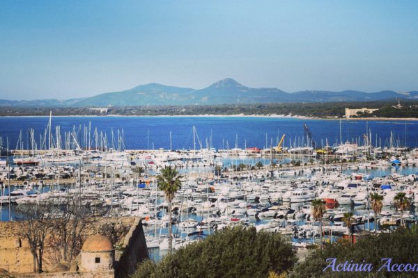 porto di alghero dalla torre