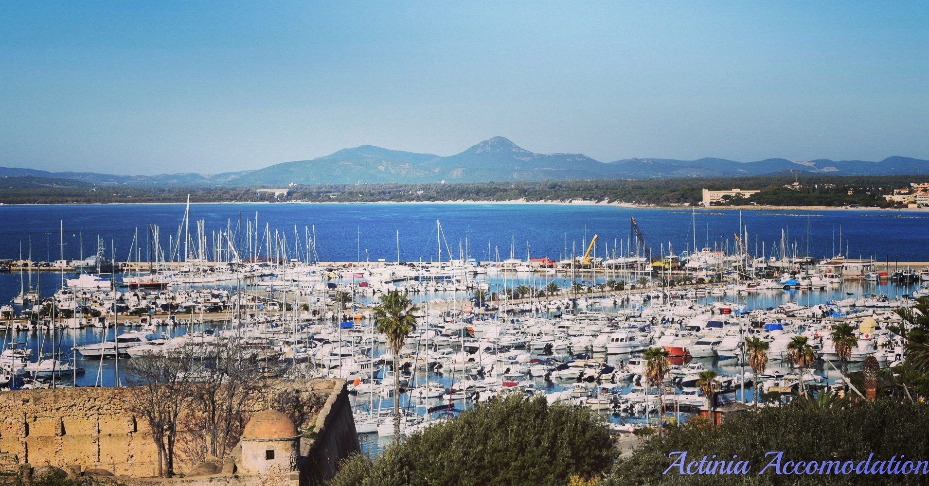 porto di alghero dalla torre